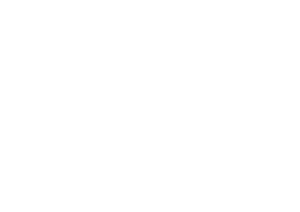 wellness wellnesska skalka nitra logo